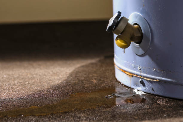 Best Water damage cleanup near me  in Rock Hill, NY