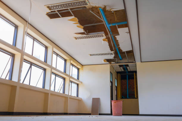 Best Sewage cleanup and water damage restoration  in Rock Hill, NY