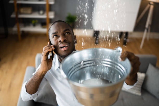 Best Local water damage restoration  in Rock Hill, NY