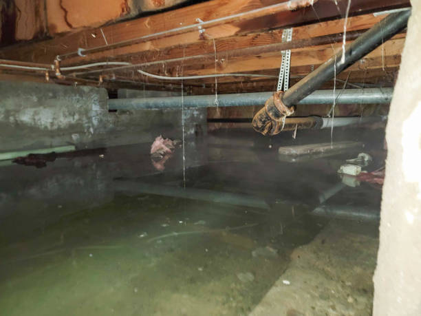 Best Emergency water damage restoration  in Rock Hill, NY