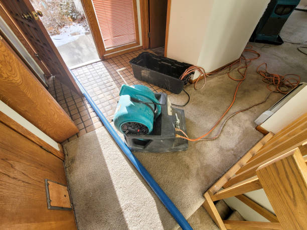 Best Flooded house restoration  in Rock Hill, NY