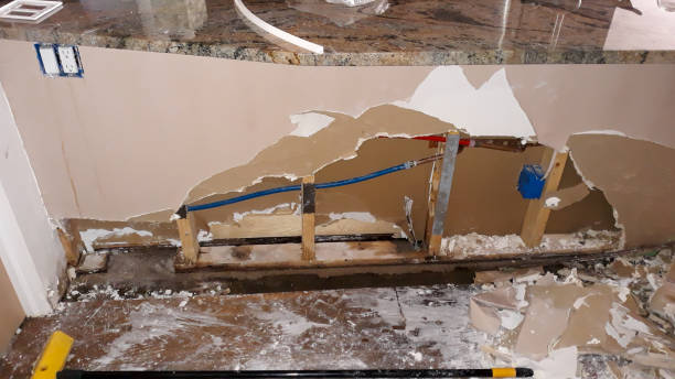 Best Professional water damage repair  in Rock Hill, NY