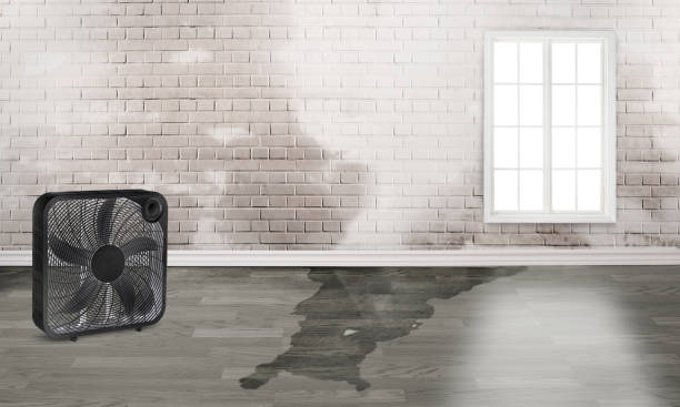 Best 24/7 water damage repair  in Rock Hill, NY