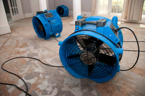 Reliable Rock Hill, NY Water damage restoration Solutions