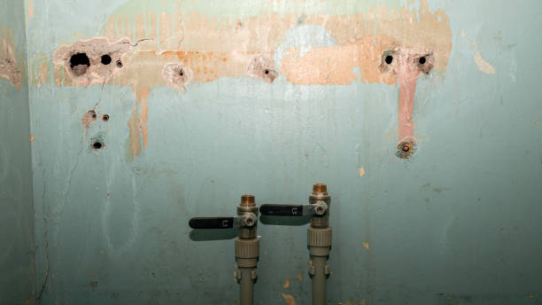 Best Water damage restoration near me  in Rock Hill, NY